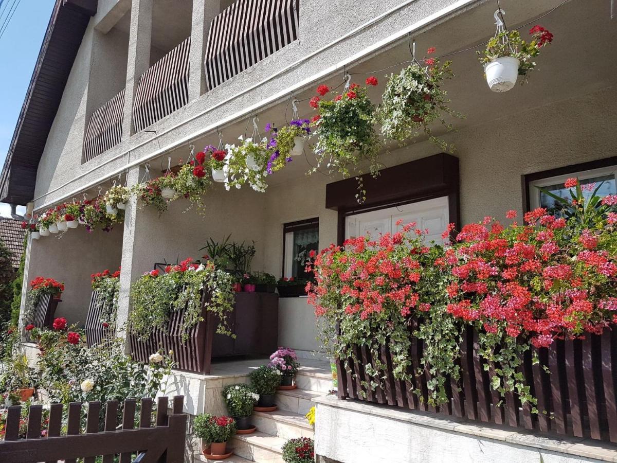 Antal Apartmans Lunca De Sus Kulcsoshaz Gyimesfelsolok ภายนอก รูปภาพ
