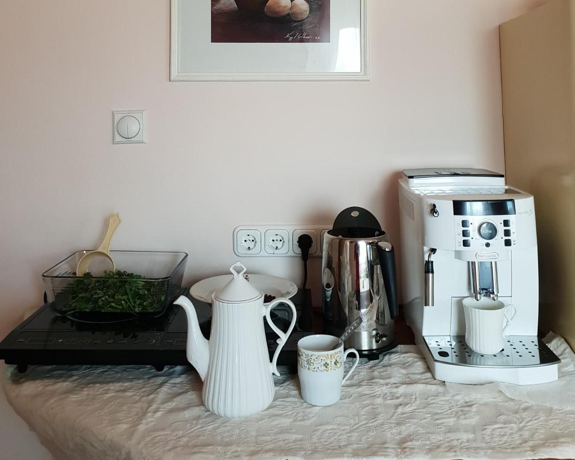 Antal Apartmans Lunca De Sus Kulcsoshaz Gyimesfelsolok ภายนอก รูปภาพ