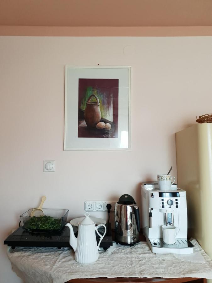 Antal Apartmans Lunca De Sus Kulcsoshaz Gyimesfelsolok ภายนอก รูปภาพ